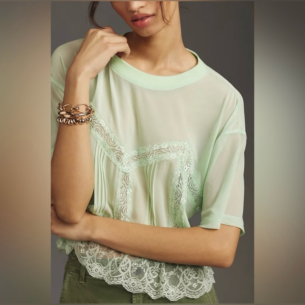NWT Anthropologie Short-Sleeve Sheer Lace Top Gorgeous!